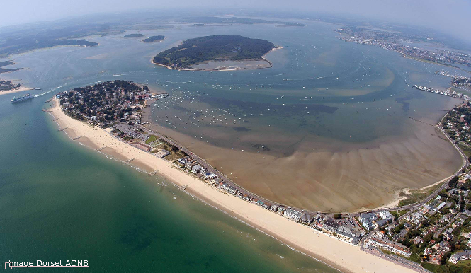 A major incident was declared after an oil leak from a large oil field in Dorset