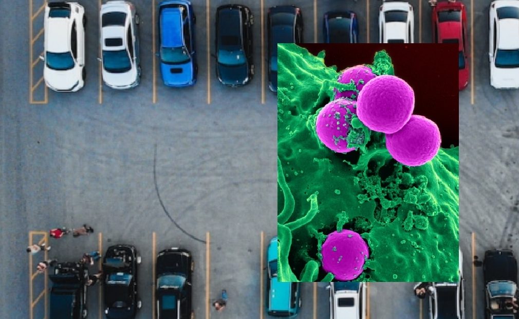 Car Meets Blamed For Rise In Gonorrhea Cases According to Resident