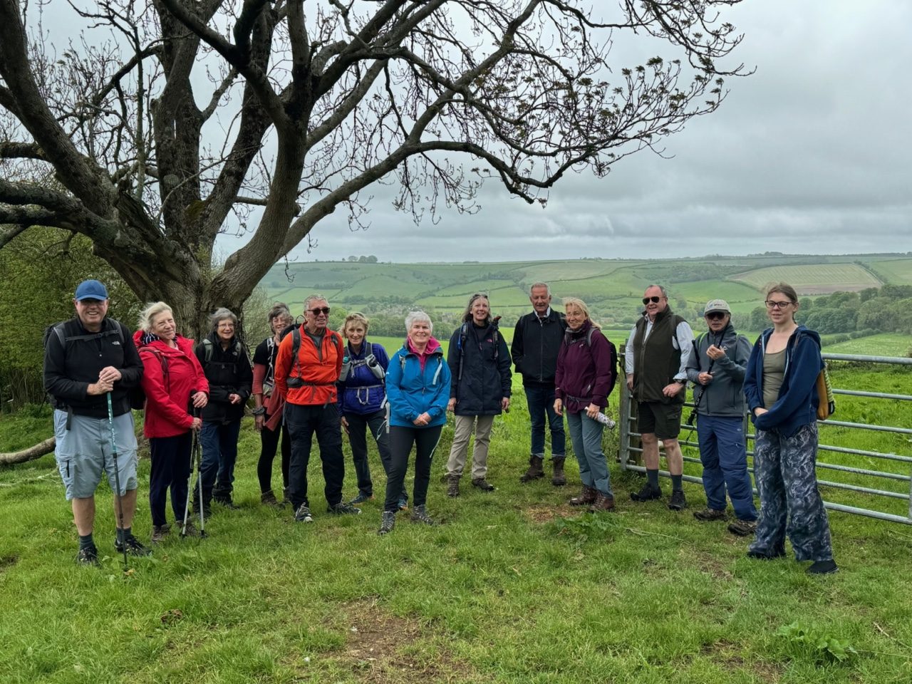 Experience the Beauty of Dorchester and the Jurassic Coast with Popular Walking Festival